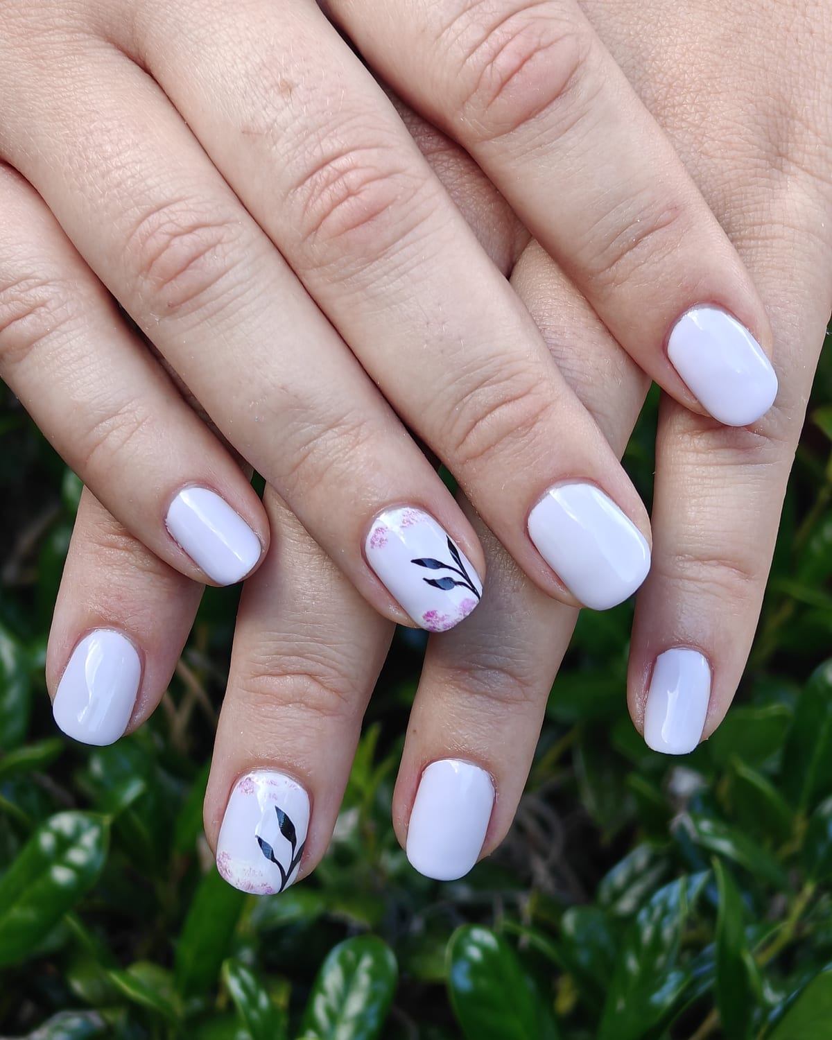Short square nails in creamy off-white with fine black botanical sprigs painted on two accent nails, hands over a green hedge.
