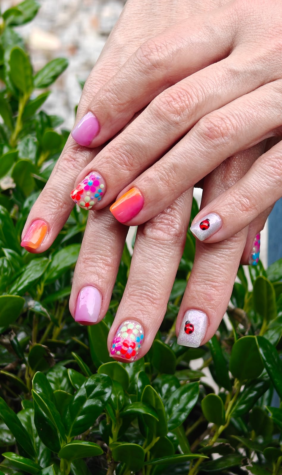 Short nails in pink, coral and white with rainbow confetti sprinkles and a hand-painted ladybug accent, hands resting on a hedge.