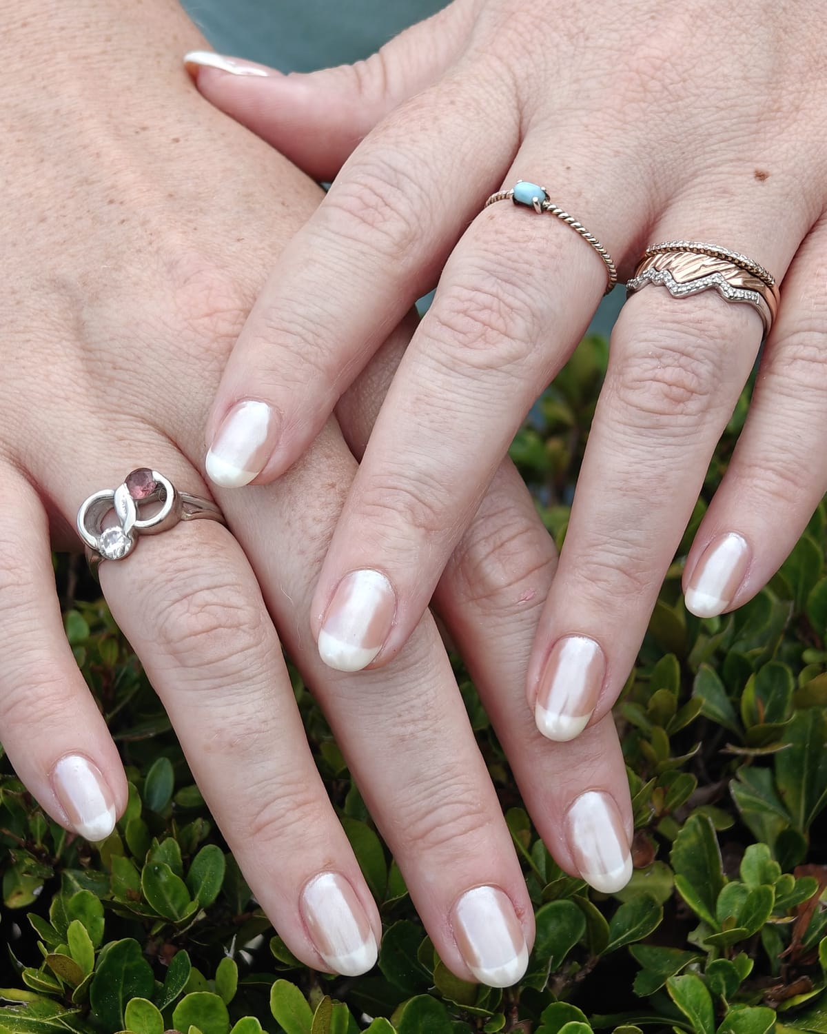 Soft pearl French manicure with milky iridescent tips on oval nails, both hands resting on a green hedge.