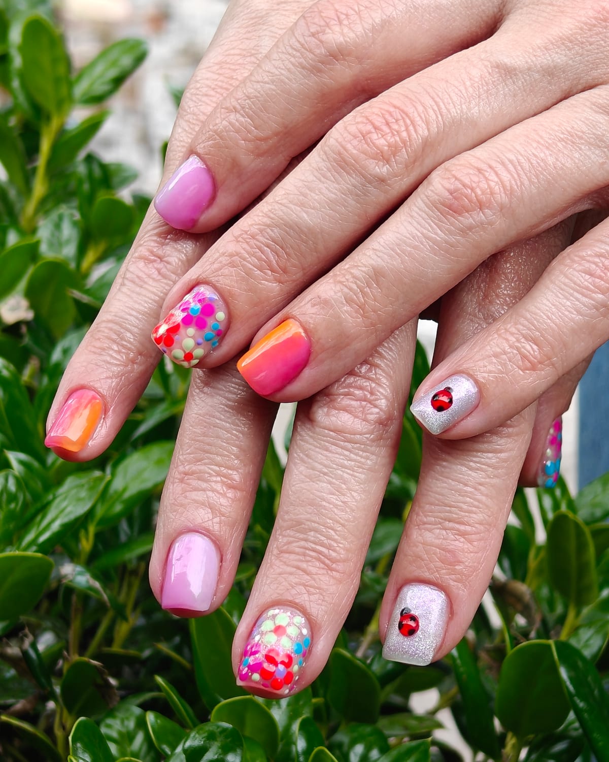 Short nails in pink, coral and white with rainbow confetti sprinkles and a hand-painted ladybug accent, hands resting on a hedge.