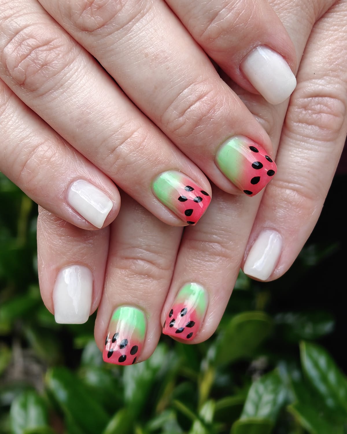 Short nails in milky white and mint green with watermelon pink tips and painted black seeds, hands over a green hedge.